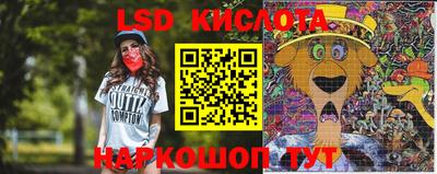 ПСИЛОЦИБИНОВЫЕ ГРИБЫ Кулебаки