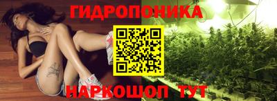 гидропоника Кунгур