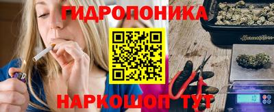 гидропоника Кунгур